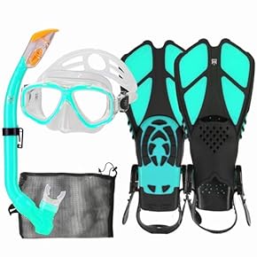 Amazon.co.jp: シュノーケル・軽器材セット - ダイビング